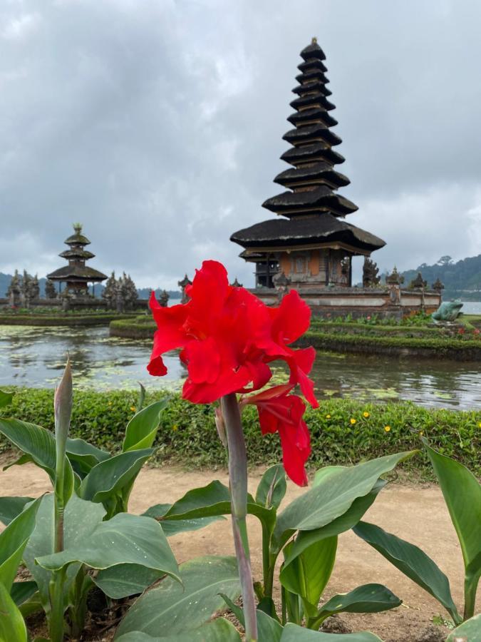 Wina Ubud B&B Eksteriør billede