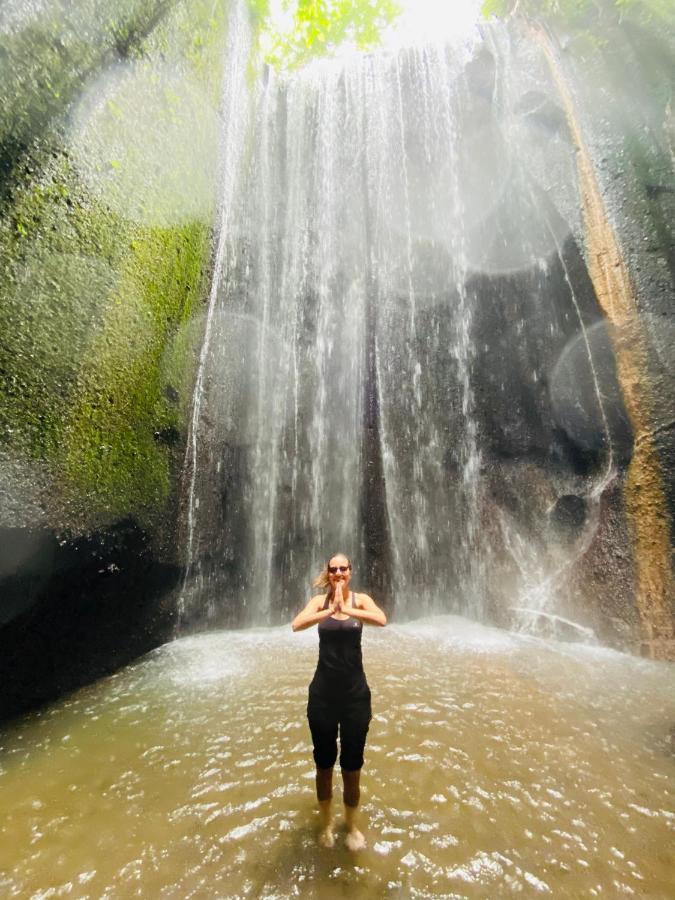 Wina Ubud B&B Eksteriør billede